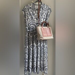 Zara Blue and White Sleeveless Maxi Dress